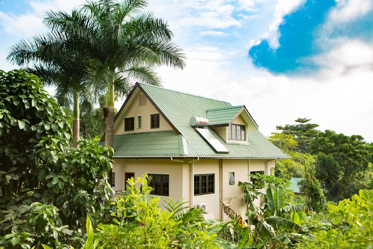 Belle Montagne Holiday Apartments Grand Anse  Exteriör bild