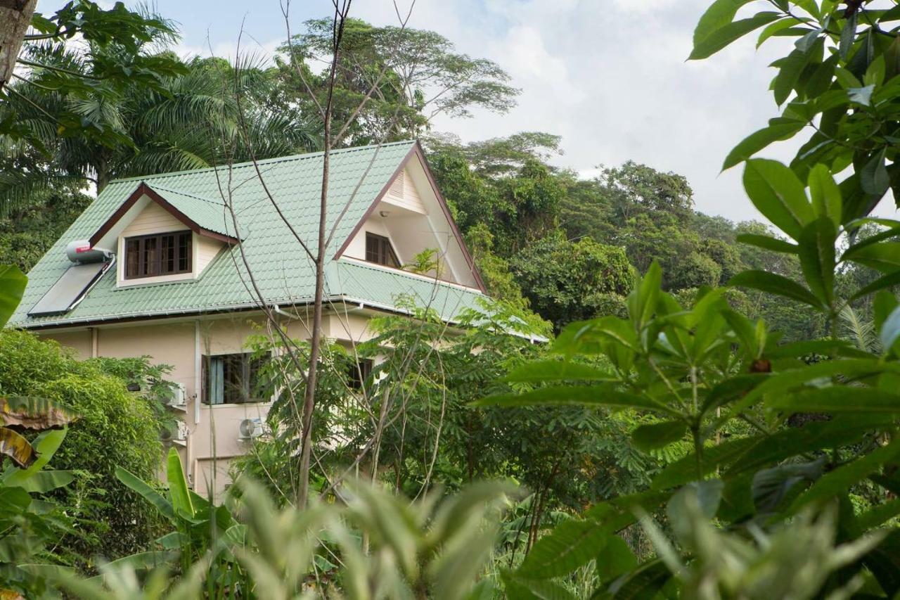 Belle Montagne Holiday Apartments Grand Anse  Exteriör bild